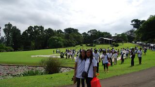 Berkas:20110326 COOL Celebration 2011-52.jpg