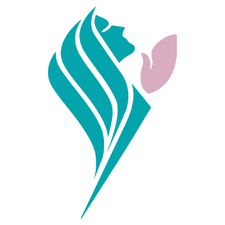 Logo WBI WOW 1x1.png