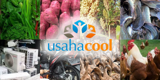 Berkas:Logo usahacool.png